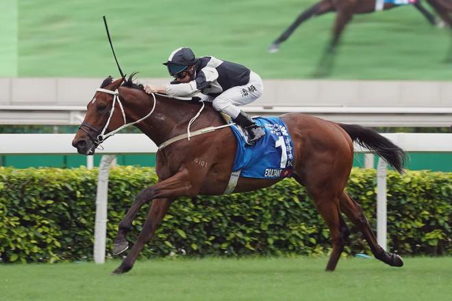 眼罩夺魁家族曾养香港马王j9国际站王经纬赛驹戴(图2)